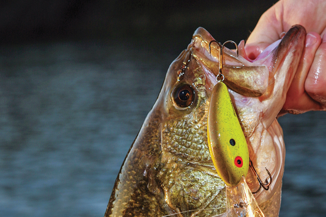 Pro Tips: How Pros Use Crankbaits for Bass