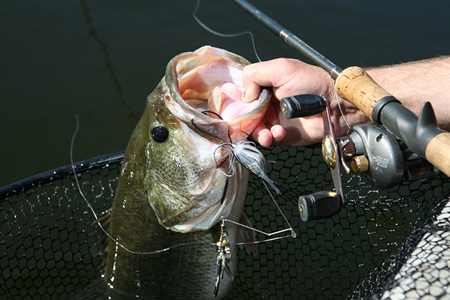 March Calls Texas Bass Anglers to Skinny Water