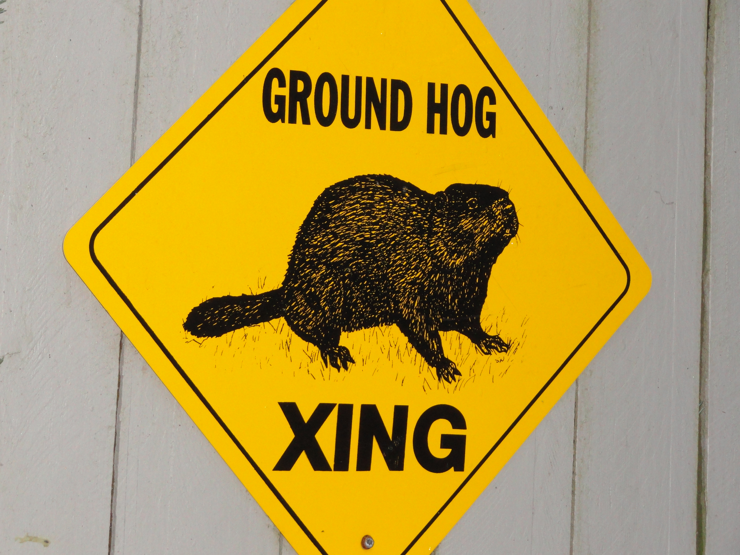 Groundhog Day