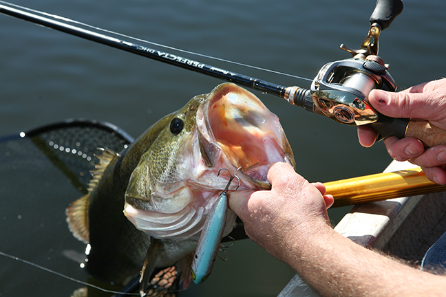 6 Proven Tactics for Spring Bass Fishing
