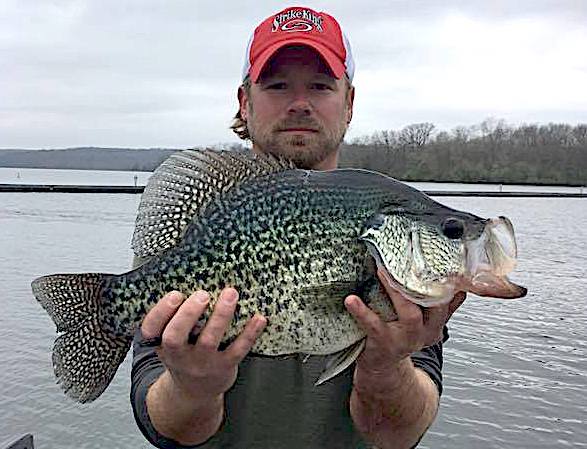 Check Out Huge Record Crappie Caught in Illinois