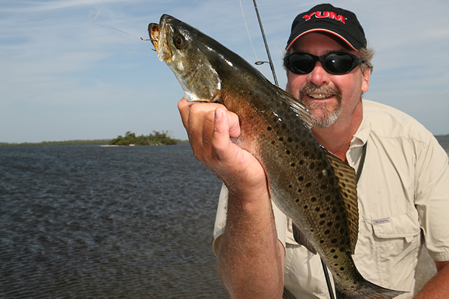 Seatrout: Best Baits, Lures to Catch Your Limit