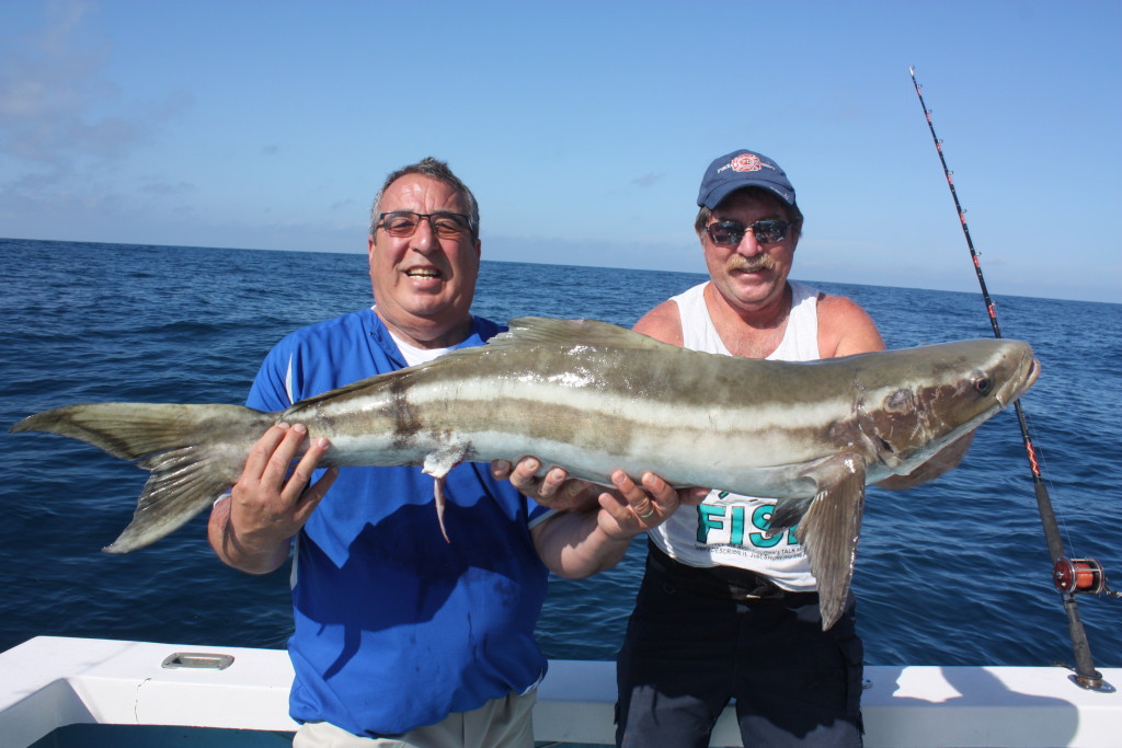 Cobia Fishing: Tips for Catching Huge Cruisers - Game & Fish