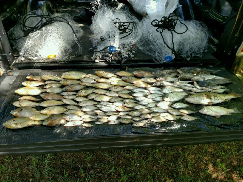 Officers Bust 4 for Poaching Gamefish with Cast Nets