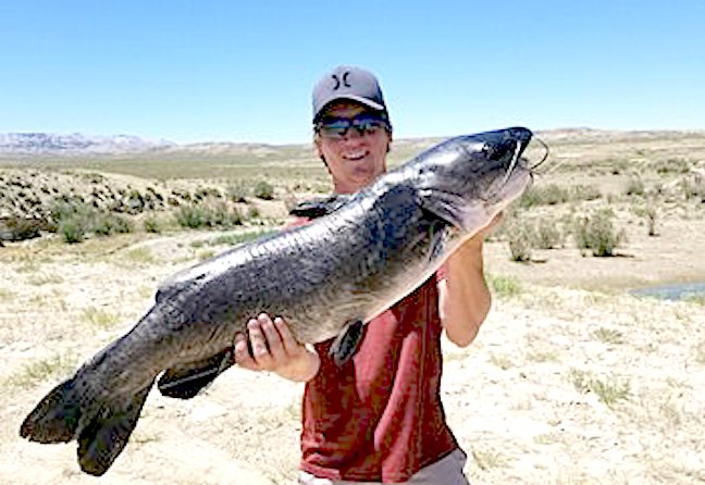 State Record Angler: 'Holy Cow It&apos;s a Catfish!'