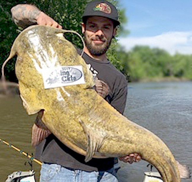 Minnesota Angler Ties Own Flathead Catfish Record