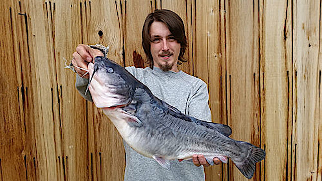 state record catfish