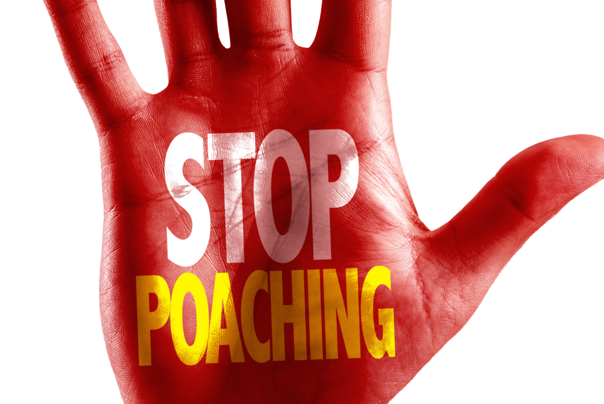 66 Counts: 8 Indicted in Ohio Deer Poaching Case
