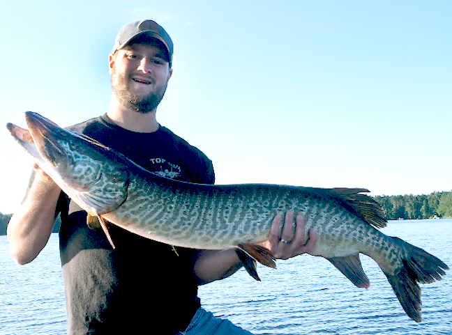 Go Small and Shallow for Pressured, Late-summer Muskies - MidWest