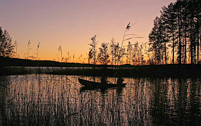 Night Walleyes: Don't Stop Fishing at Sundown