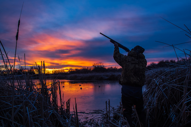Early Waterfowl Action Tips in Missouri