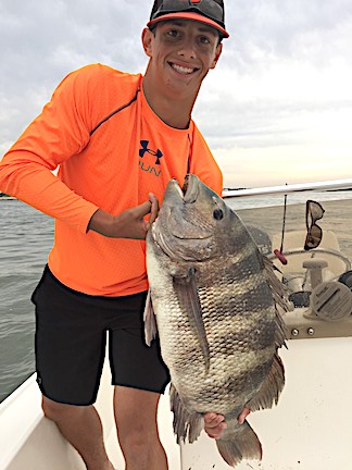 'Strong Tug' Results in State Record Sheepshead