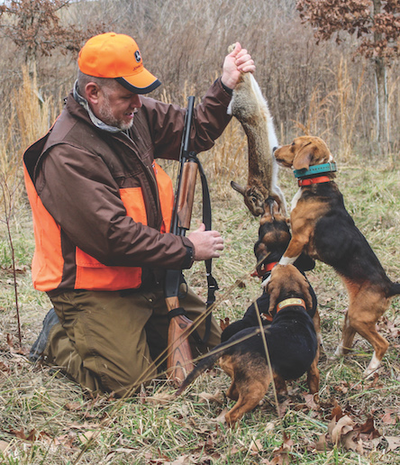 Employ Hunting Dogs to Flush Out Rabbits