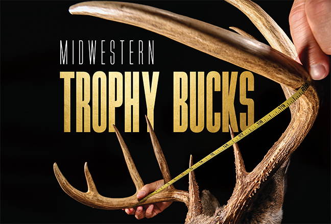 Midwestern Trophy Buck Header