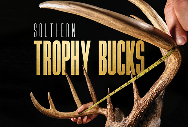 Southern Trophy Bucks