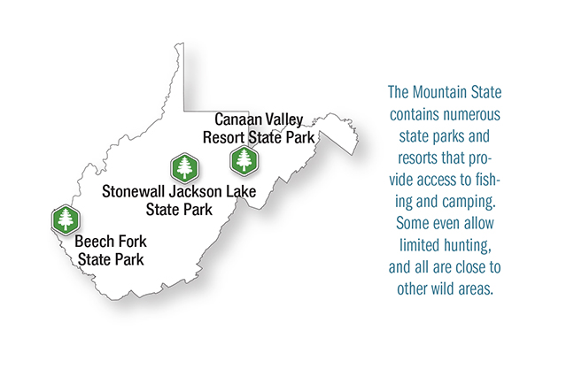 Best Vacation Lodges In West Virginia