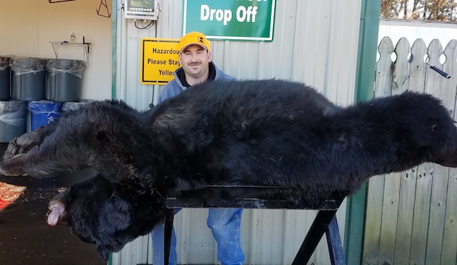 N.C. Hunter Bags 633-Pound Black Bear