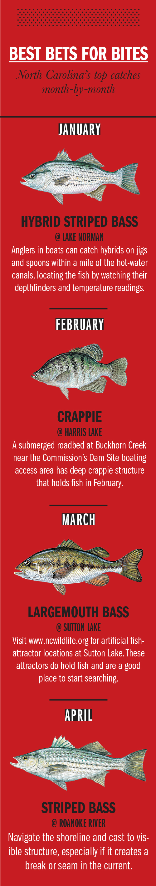 Get an early start so you don't miss the best crappie-fishing North  Carolina's Falls of Neuse Lake has to offer