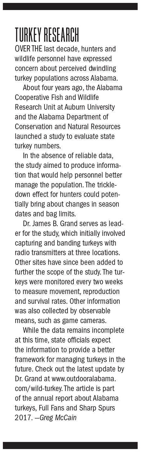 2018 Alabama Spring Turkey Hunting Outlook