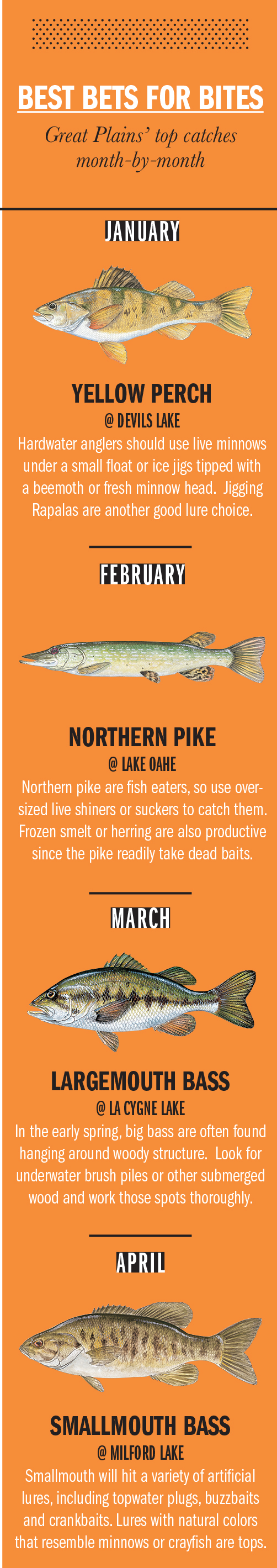 Great Plains Fishing Calendar Game & Fish