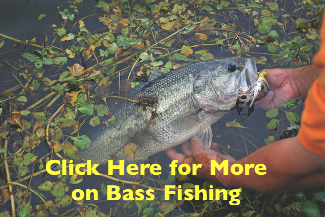Oklahoma Bass Fishing Outlook 2018