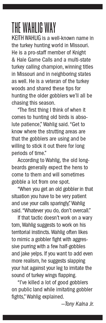2018 Missouri Spring Turkey Hunting Outlook