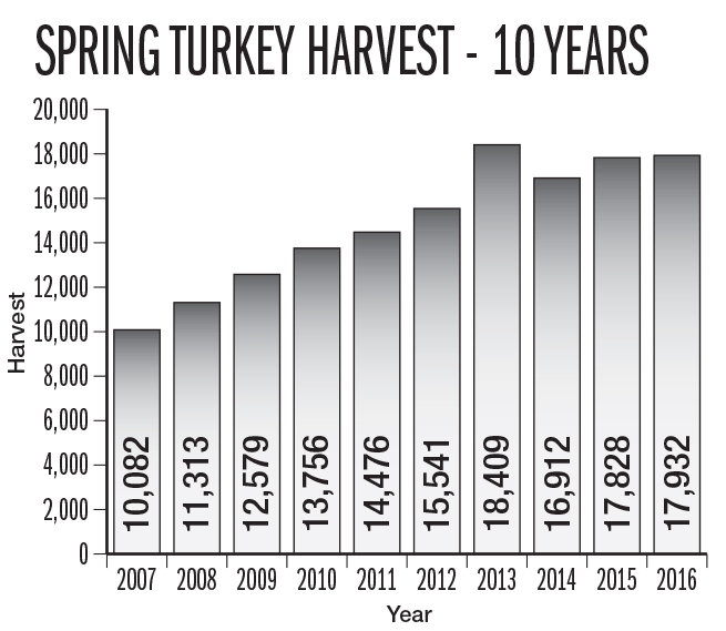 NC Turkey Hunting Outlook