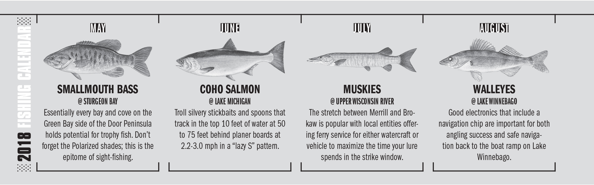 Wisconsin Fish Species Chart
