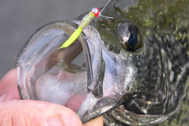 Pre-Spawn Slabs: Where to Catch Alabama Crappie - Game & Fish