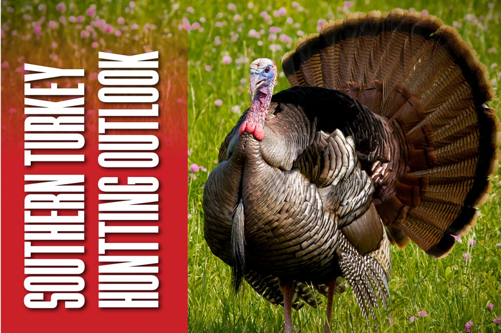 State-By-State Spring Turkey Hunting Outlook 2018