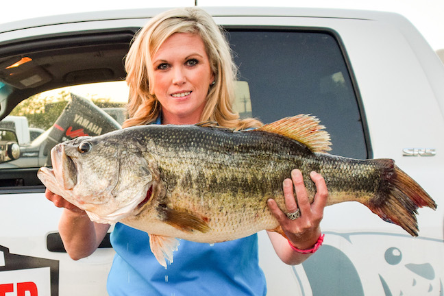 Another ShareLunker Texas Bass Caught