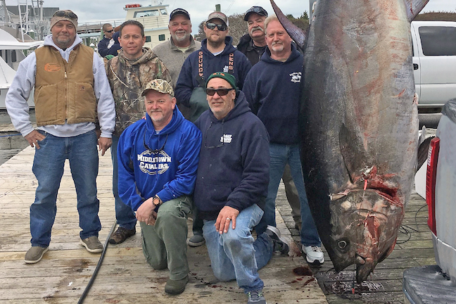 State Record Bluefin Tuna Caught Off N.C. Coast