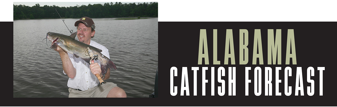 AL Catfish Forecast Banner