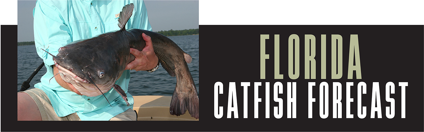 FL Catfish Forecast Banner
