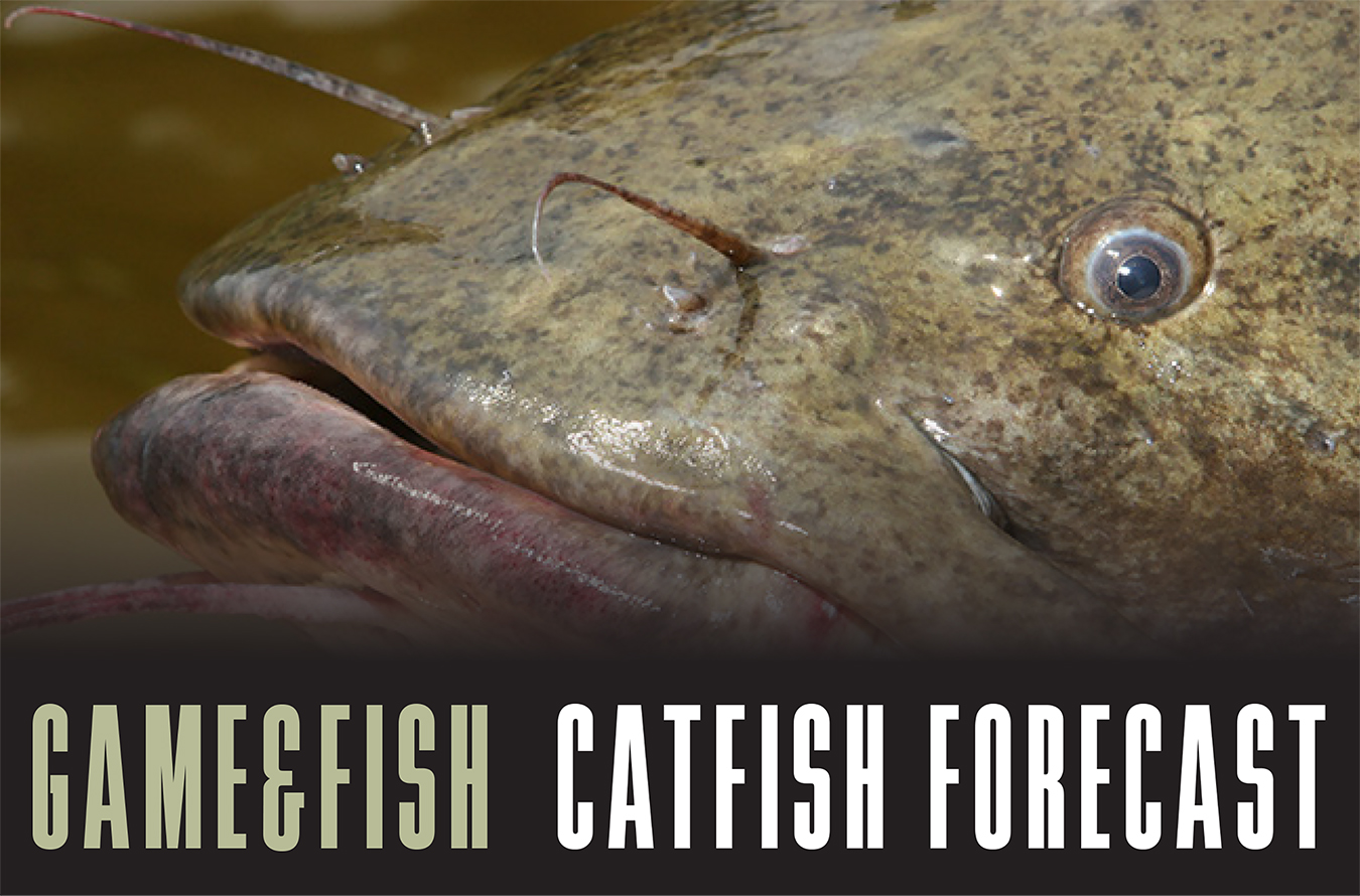 2018 Game and Fish Catfish Forecasts