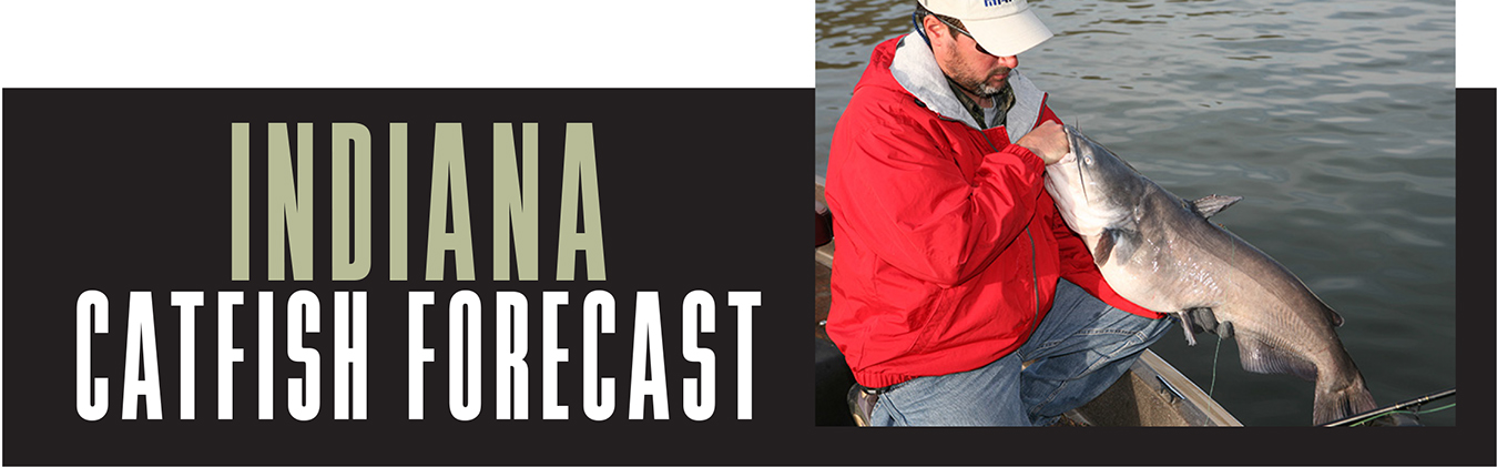 IN Catfish Forecast Banner