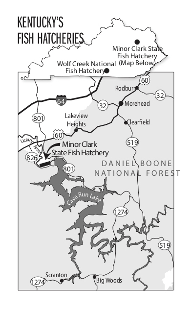 Cave Run Lake Map Running Bass Down On Cave Run: Take Your Pick - Game & Fish