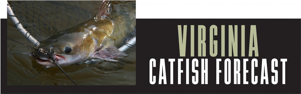 VA Catfish Forecast Banner