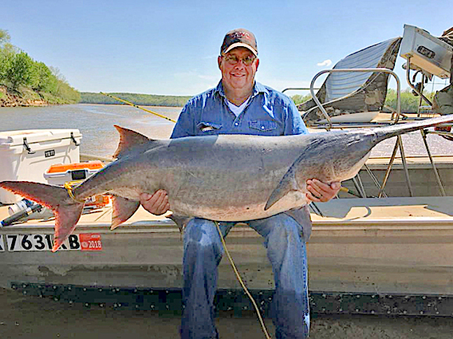 First Cast on First Trip: New State-Record Paddlefish by 7 Pounds