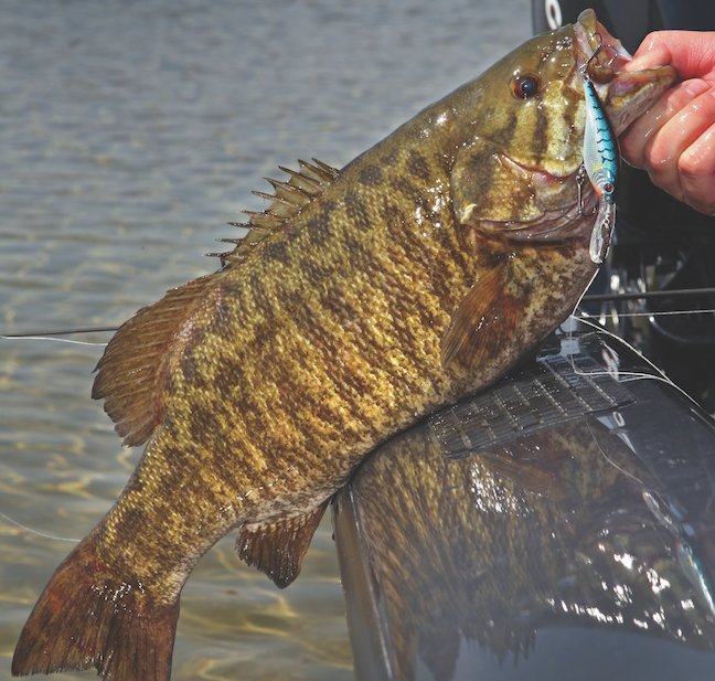 Best Lakes, Lures for Michigan Smallmouth Bass in June