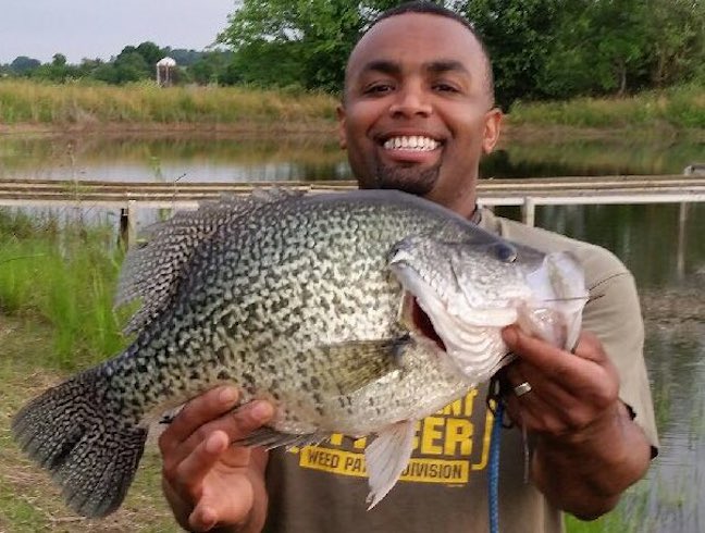 It's Official: DNA Test Confirms Record Black Crappie