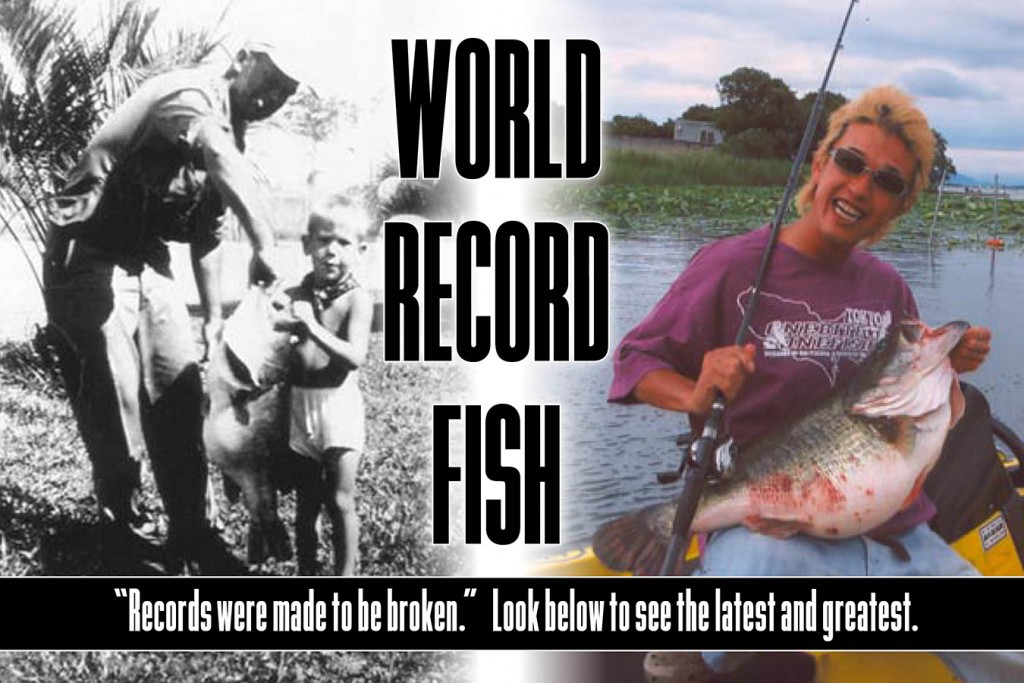 World Record fish