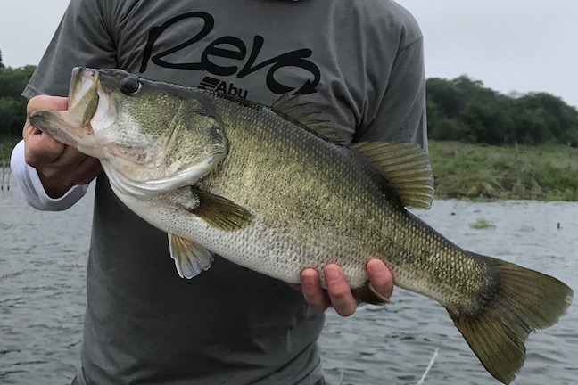 June bass fishing