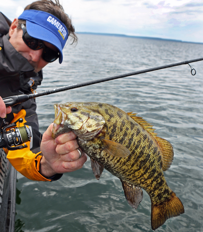 4 Great Options for California Smallmouth Bass