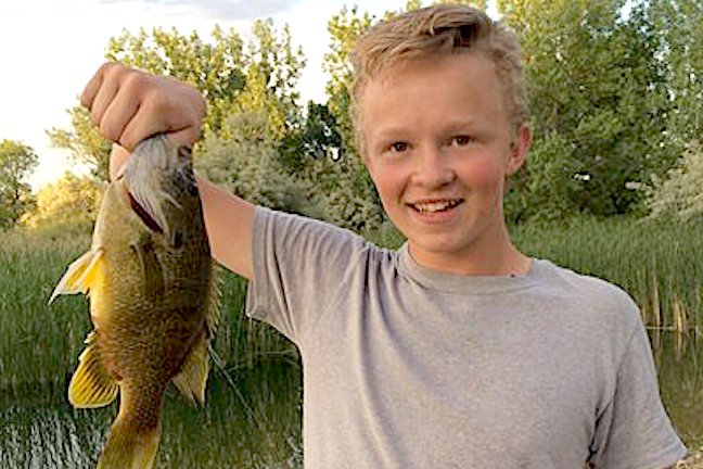 'One More Cast, Please' Results in Panfish State Record in Wyoming