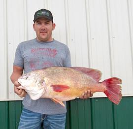 Now That's a Big Drum: Another Wyoming State Record Smashed