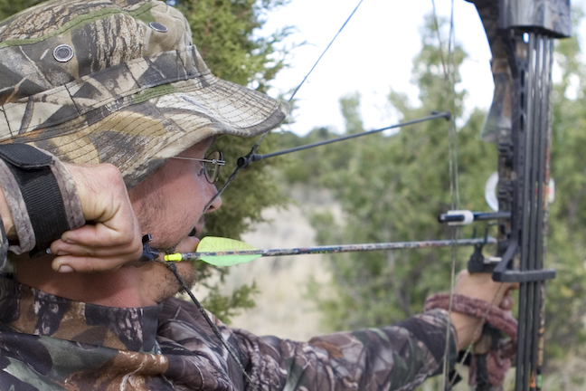early season bow hunting