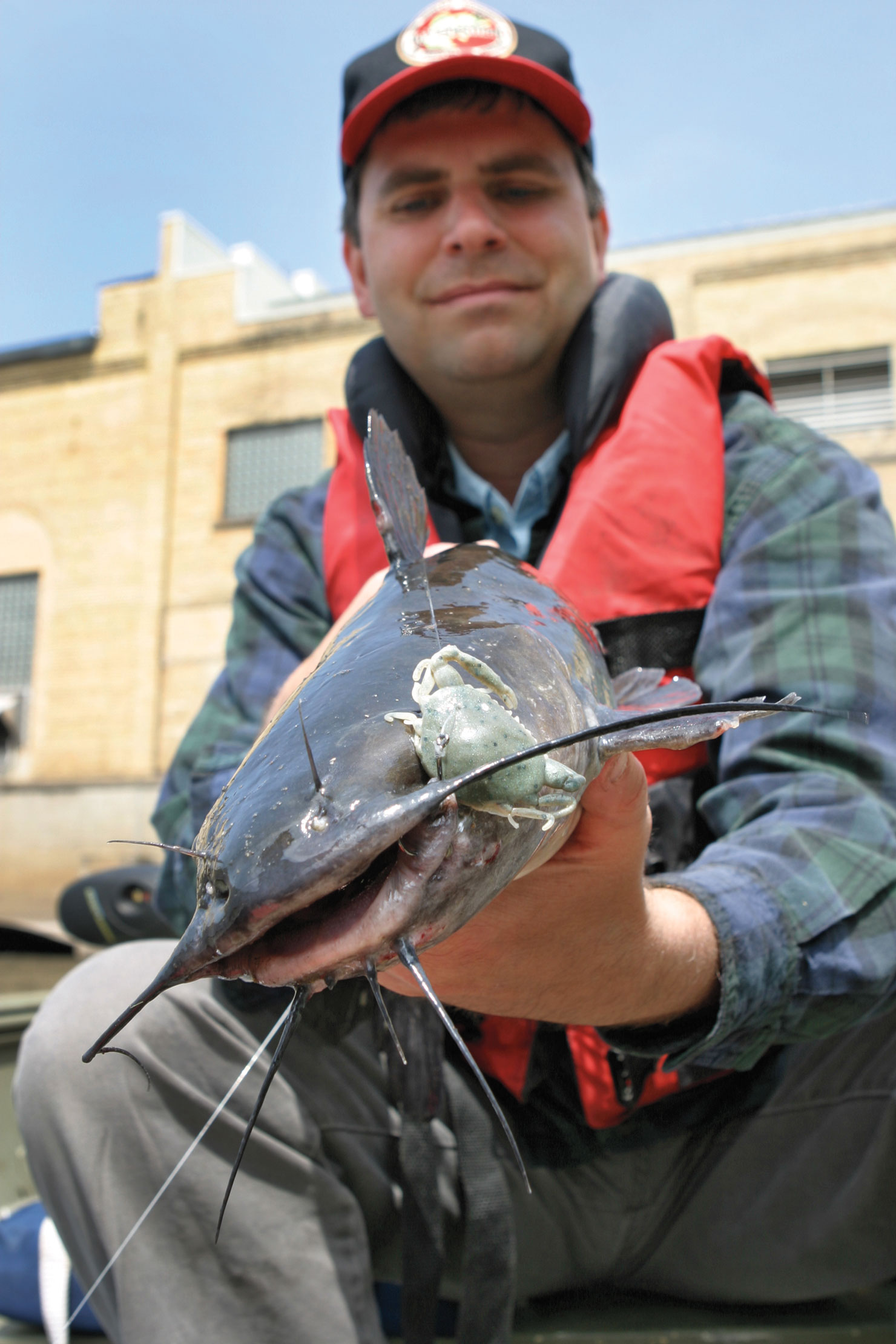 Sensory Overload For Early Summer Catfish