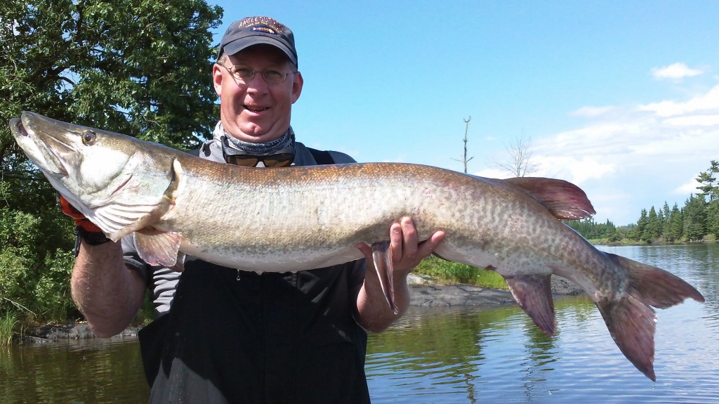 Lake of the Woods July 2011  50.5" Muskie