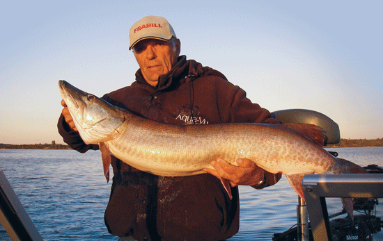 The Rising Tide In Muskie Fishing